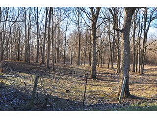 This rural acreage is surrounded by trees with Sugar Creek running through the southern edge of the property with abundant wildlife in the area.  Situated in extreme southern Clinton County, the property is in close proximity to Frankfort and Lebanon both.  Currently being used as cattle pasture; there is the possibility of a home site being built on the property with approval of Clinton County Area Plan and Board of Zoning.  Small cemetery located on the north side, see photos for more details.  

The only tax information will be on the parent parcels and won't be representative of what future taxes will be when this tract is surveyed off to new Buyer. - Clinton County Mini Farm & Potential Home Site
